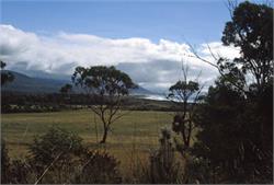 01505_Tasmania