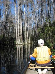 060-Okefenokee-SC