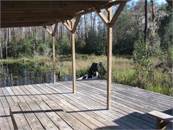 061-Okefenokee-SC