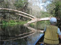 070-IchetuckneeSprings-FL