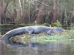 081-Withlachoochee-FL