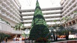 088-OrlandoAirport-FL