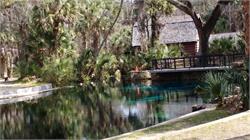 117-JuniperSprings-FL