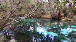 124-JuniperSprings-FL