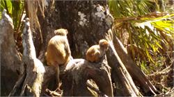 127-SilverSprings-FL