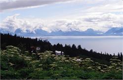 02267_HomerAlaska