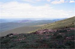 02300_RoadtoDawsonCity