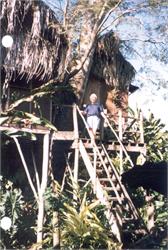 148-TreeHouse-ParrotNest