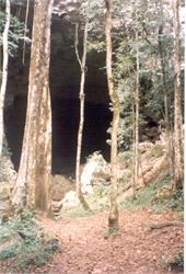 149-EnterRioFrioCave