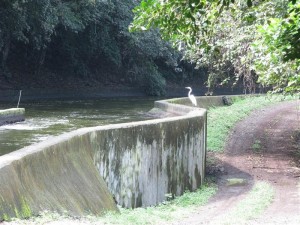 CatemacoCanal CatemacoCanal