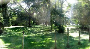 LaJungleCamp LaJungleCamp