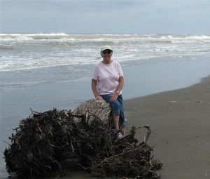 PegEmeraldCoast PegEmeraldCoast