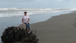 PegEmeraldCoast1s PegEmeraldCoast1s