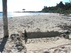 Jon_Peg Beach (Custom)