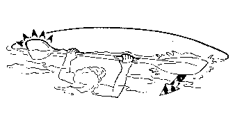 “On the Road Again” as Willy sings