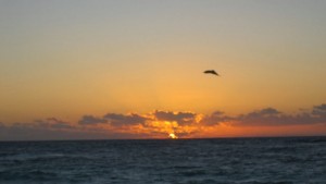 Last sunrise. Last sunrise.