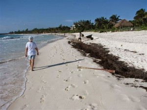 First Beach Walk IMG_3394 (Custom)