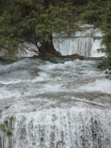 Last4FallsMicos_2014 Last4FallsMicos_2014