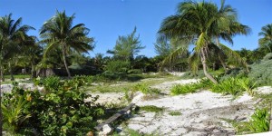 OldBuildingGone (Custom) OldBuildingGone (Custom)