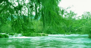 RioMicos2_2014 RioMicos2_2014