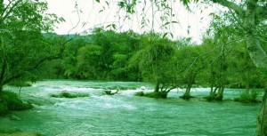 RioMicos_2014 RioMicos_2014