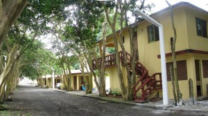 TepetapanCasitas TepetapanCasitas