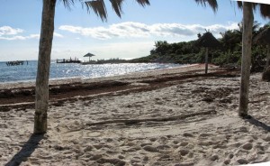 JonPegPalapas2014 JonPegPalapas2014