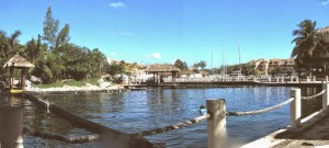 PADolphin_TVs PADolphin_TVs