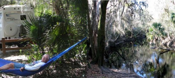 Wet Summer – Thinking of Florida