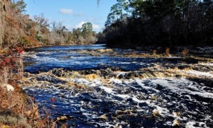 BigShoals2 BigShoals2