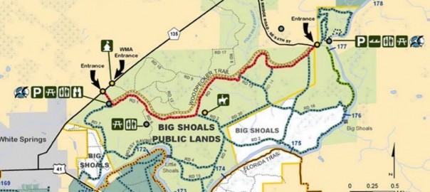 Thanksgiving at Ocean Pond, FL