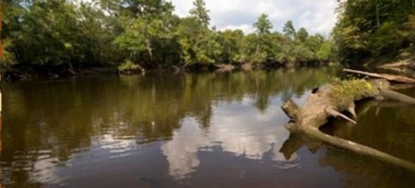 South Carolina State Parks