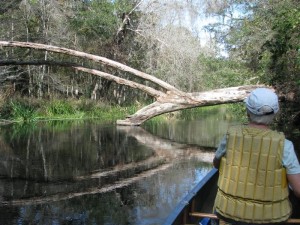 IchetuckneePegPaddle IchetuckneePegPaddle