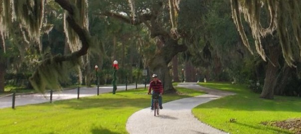 Heading for the Swamp on Sunday