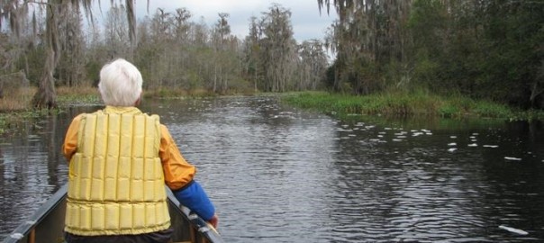 Okefenokee – Cool Nights