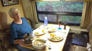Peggy Thanksgiving in RV Peggy Thanksgiving in RV