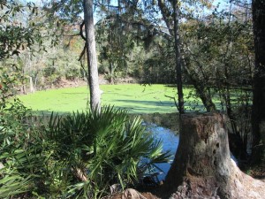 SanteFeRiverSink2 SanteFeRiverSink2