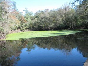 SanteFeRiverSink SanteFeRiverSink