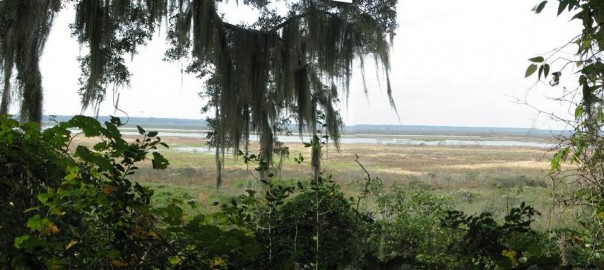 Paynes Prairie & Hawthorne State Bike Trail
