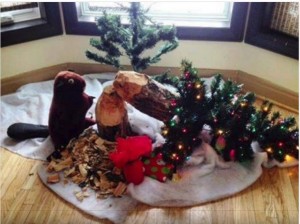 A Beaver Creek Christmas