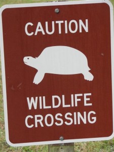 Wildlife Crossing Sign Wildlife Crossing Sign