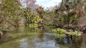 Juniper Run - 3 Juniper Run - 3