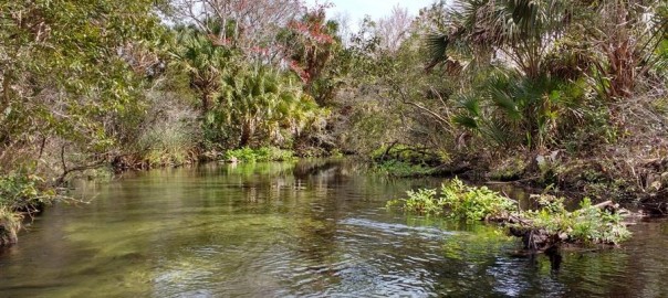 Juniper Springs–Ocala National Forest
