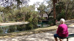 Juniper Springs-2 2016 Juniper Springs-2 2016