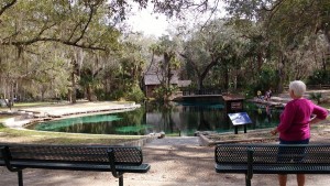 Juniper Springs 2016 Juniper Springs 2016