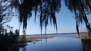 Ocean Pond Ocean Pond