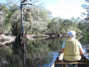 Canoeing Withlacoochee with Peggy Canoeing Withlacoochee with Peggy