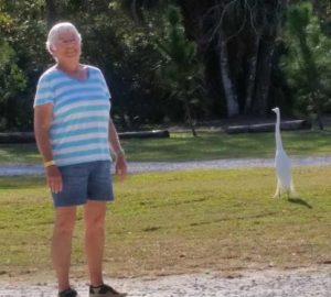 Peggy and the GreatHeron Peggy and the GreatHeron