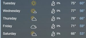 Ft Myers Temp This Week