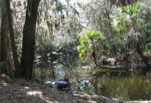 Launch Area on River